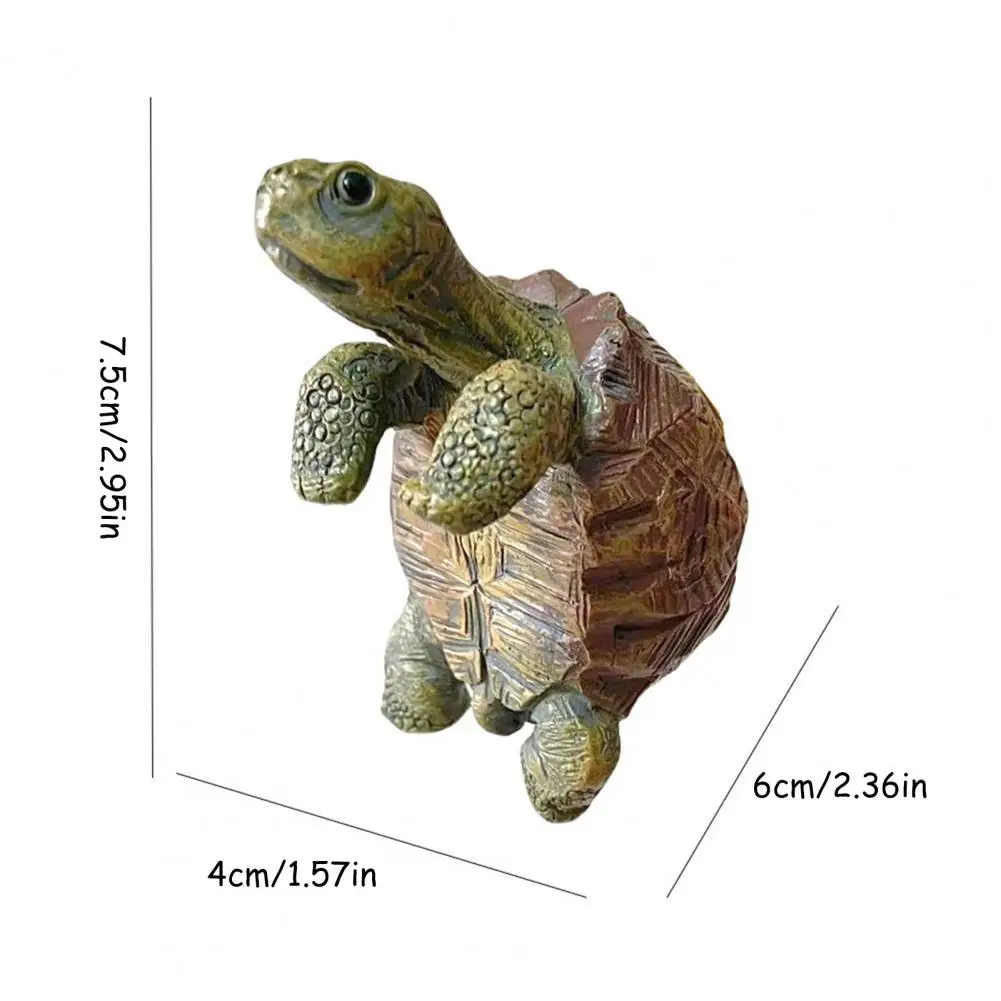 Fishing Turtle Hanging Turtle  - Aquarium Fish Gallery avis et prix