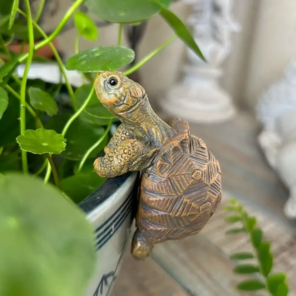 Fishing Turtle Hanging Turtle  - Aquarium Fish Gallery avis et prix
