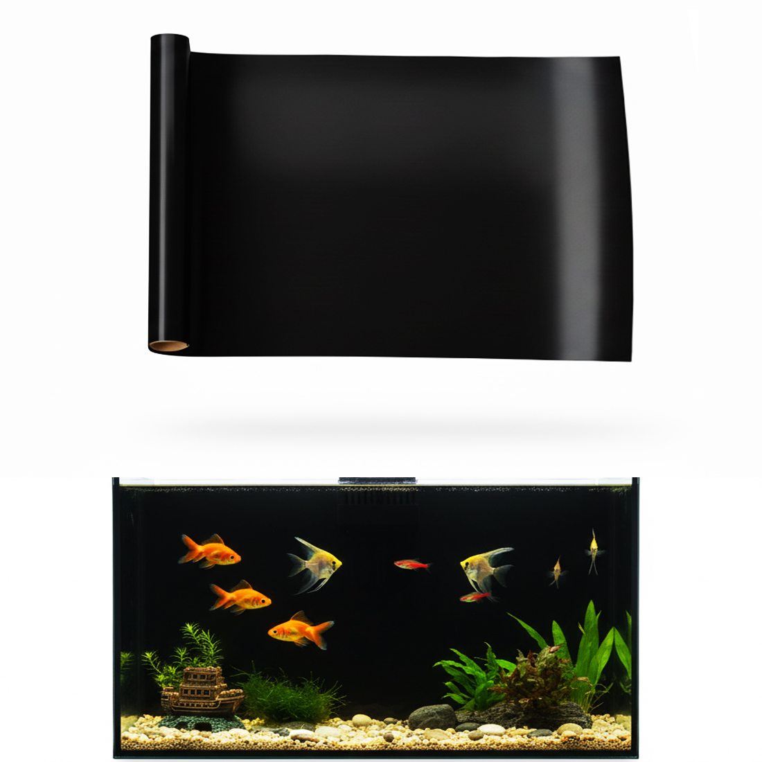 Aquarium Background Static Cli - Aquarium Fish Poster avis et prix