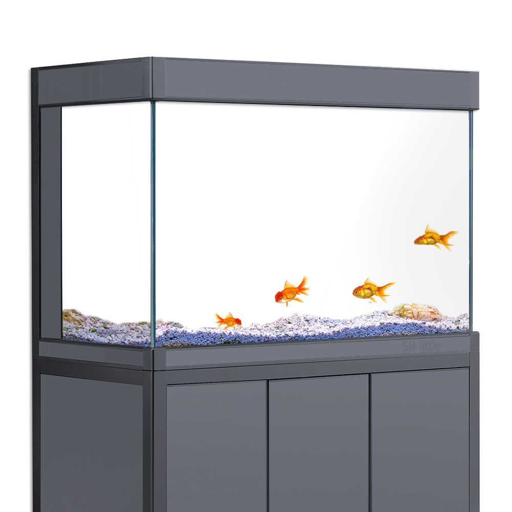 Aquarium Background Static Cli - Aquarium Fish Poster avis et prix