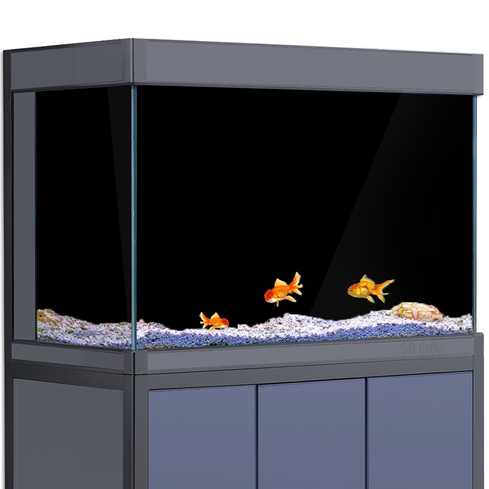 Aquarium Background Static Cli - Aquarium Fish Poster avis et prix