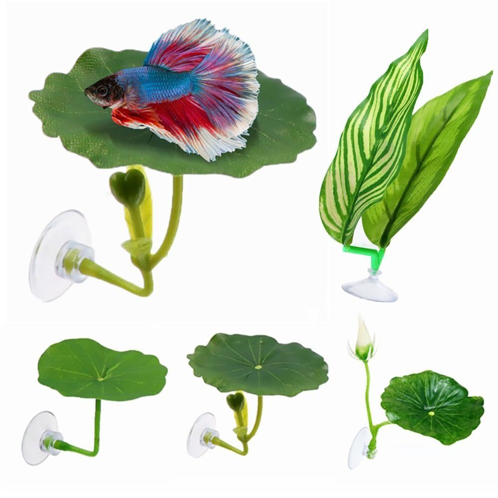 Plastic Betta Fish Rest Leaf S - Aquarium Fish Game avis et prix