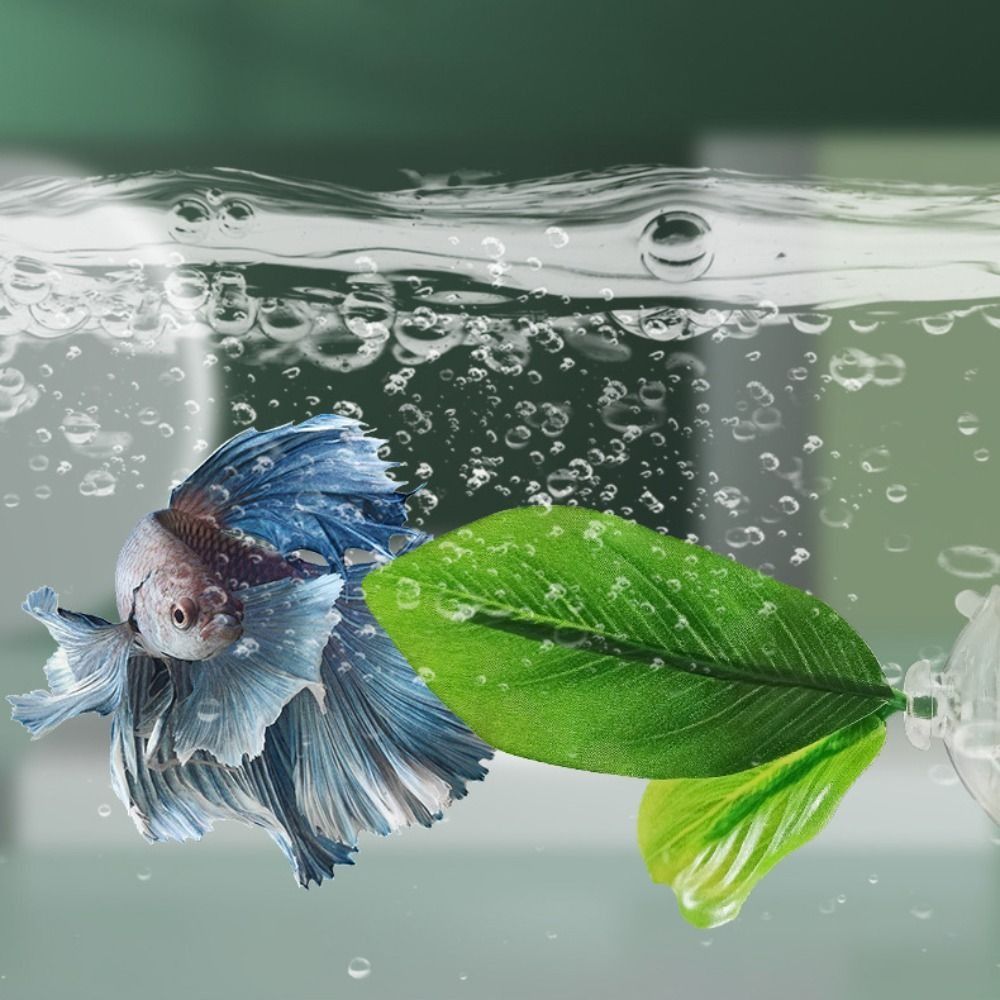 Plastic Betta Fish Rest Leaf S - Aquarium Fish Game avis et prix