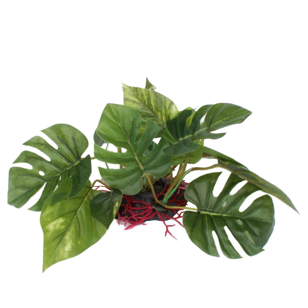 Fish Tank Artificial Plant Pre - Aquarium Fish Low Maintenance avis et prix