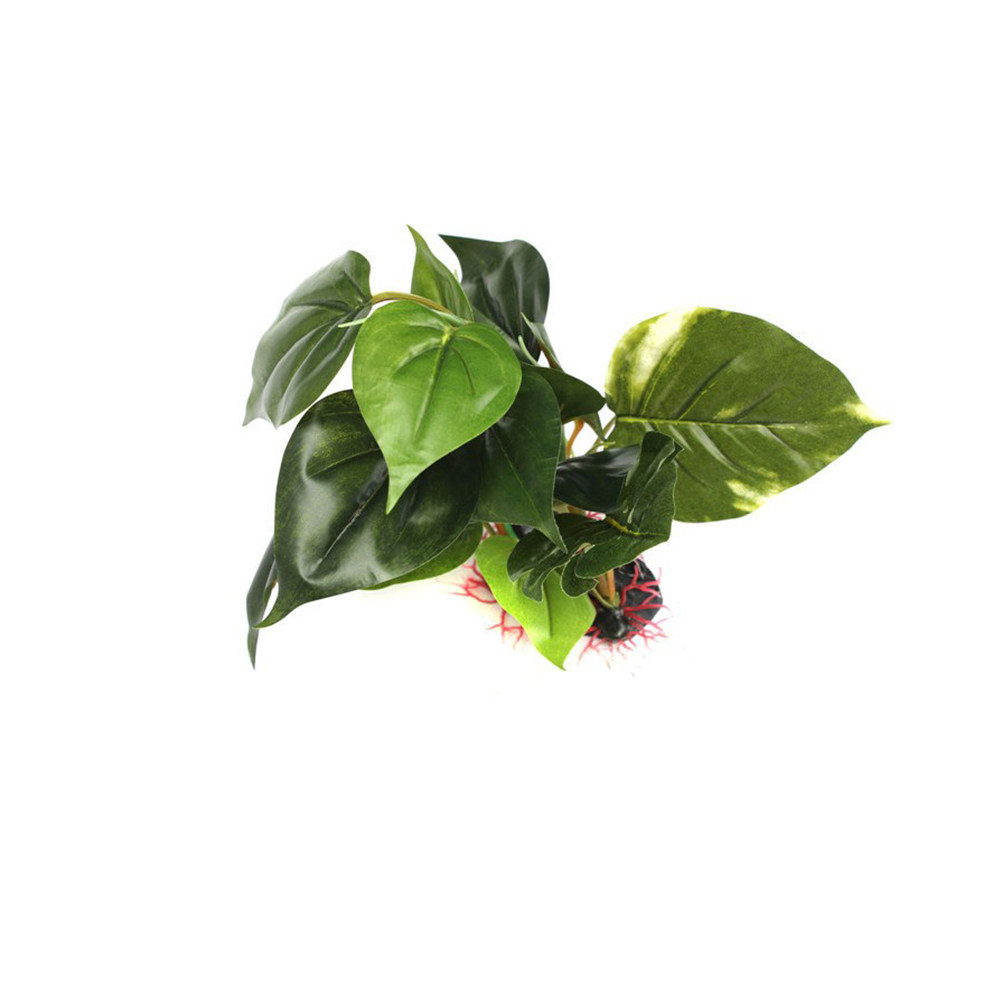 Fish Tank Artificial Plant Pre - Aquarium Fish Low Maintenance avis et prix