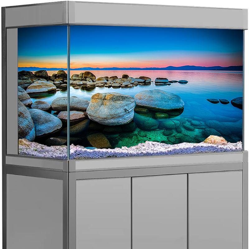 Aquarium Background Sticker St - Aquarium Fish Poster avis et prix