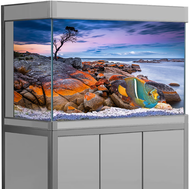 Aquarium Background Sticker St - Aquarium Fish Poster avis et prix