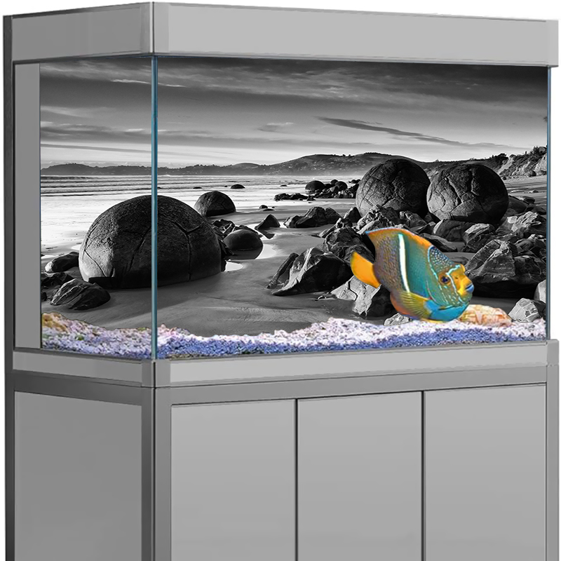 Aquarium Background Sticker St - Aquarium Fish Poster avis et prix