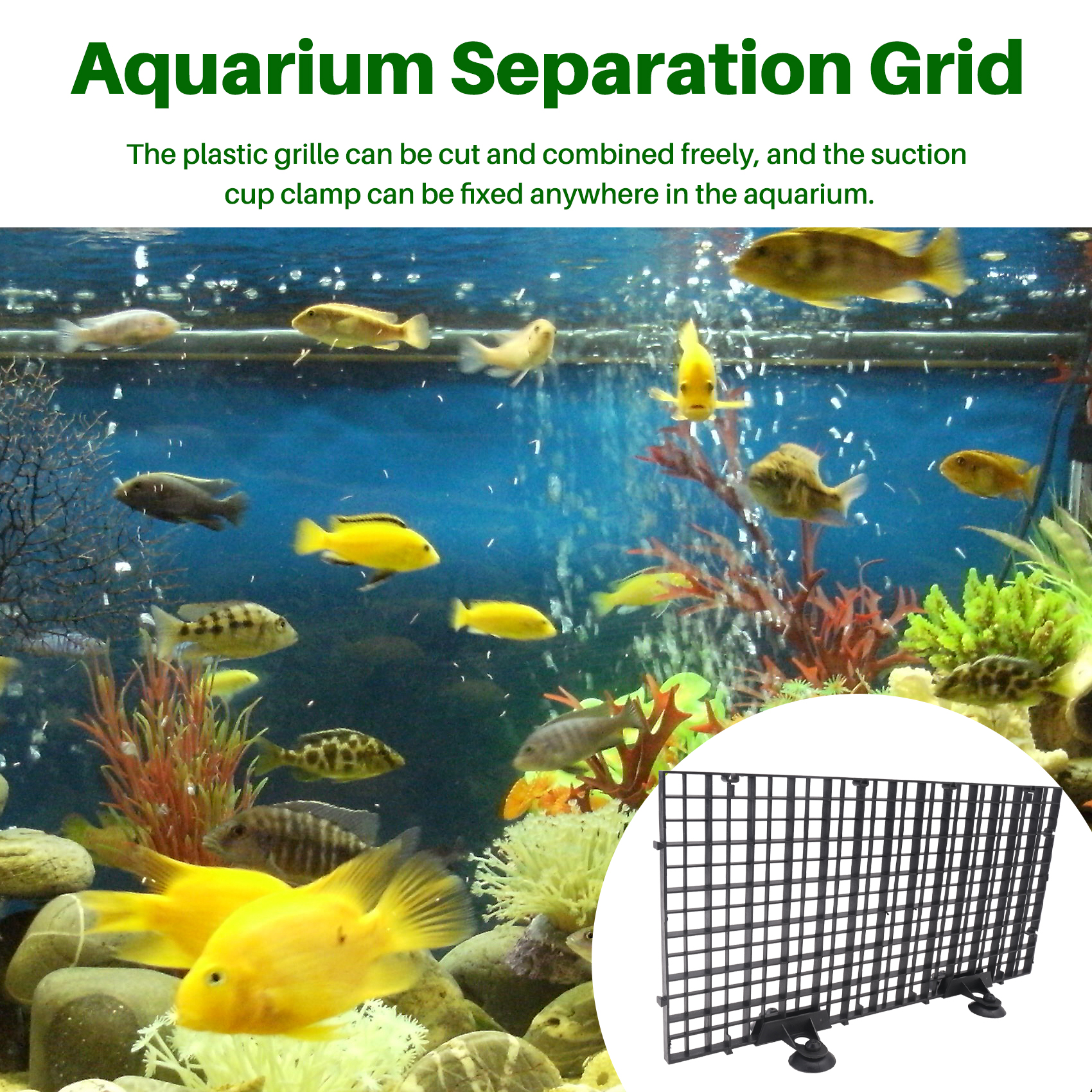 BYBS-Aquarium Divider Tray Pla - Tank Divider Mesh avis et prix