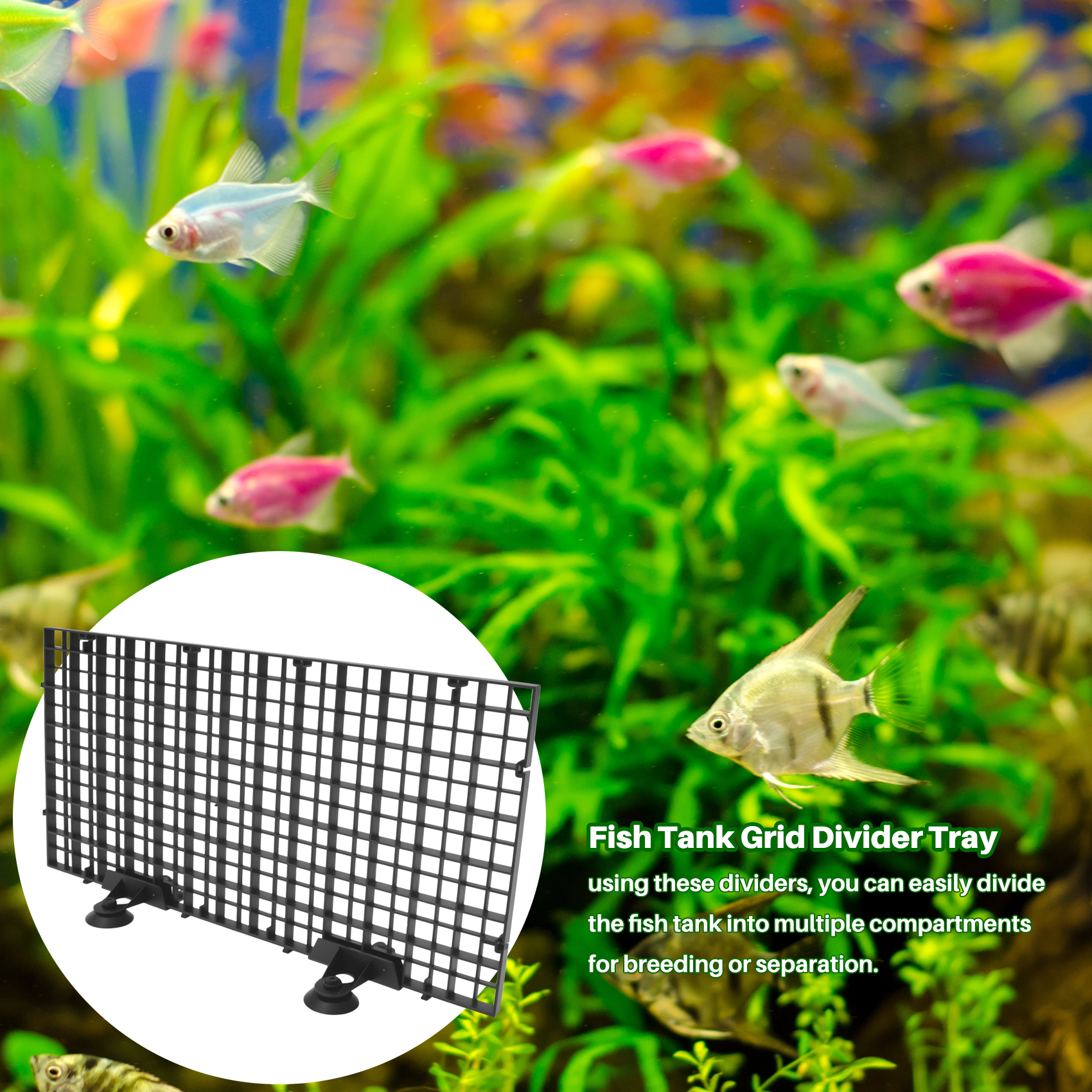 BYBS-Aquarium Divider Tray Pla - Tank Divider Mesh avis et prix