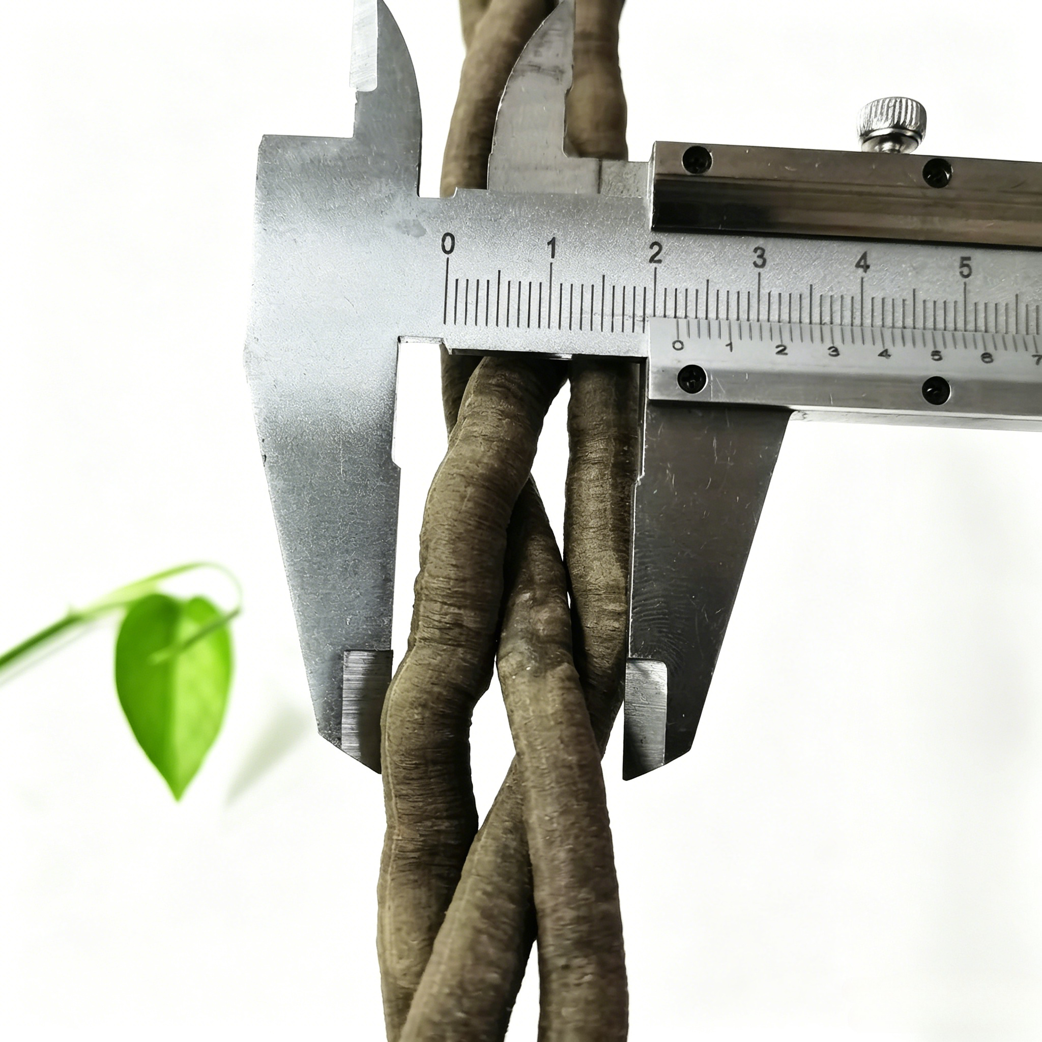 100cm Artificial Vine Fake Pla - Aquarium Fish Gallery avis et prix