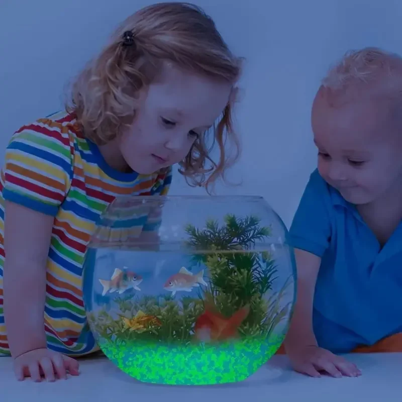 1000pcs 3-5mm Luminous Sand Gl - Aquarium Fish Gallery avis et prix