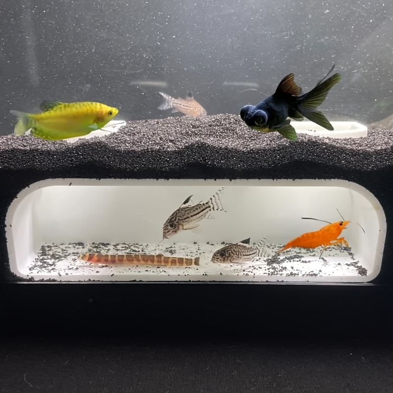 Aquarium Ground Floor Resident - Aquarium Fish Game avis et prix