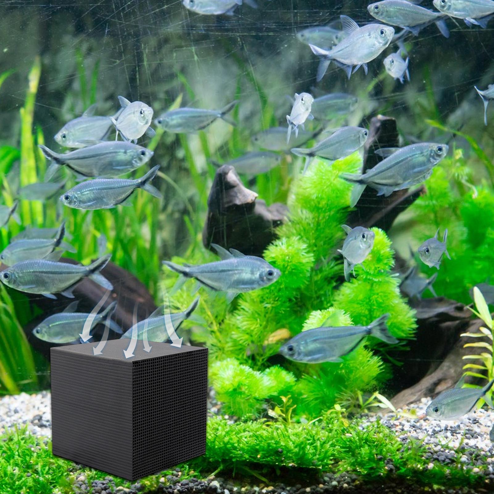 Aquarium Water Purifier Cube W - Aquarium Fish Background avis et prix