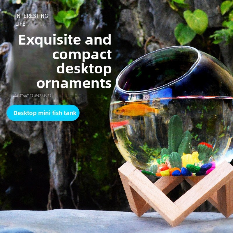 Mini Desktop Aquarium for Bett - Aquarium Fish Low Maintenance avis et prix