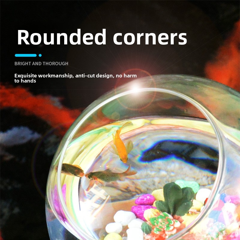 Mini Desktop Aquarium for Bett - Aquarium Fish Low Maintenance avis et prix
