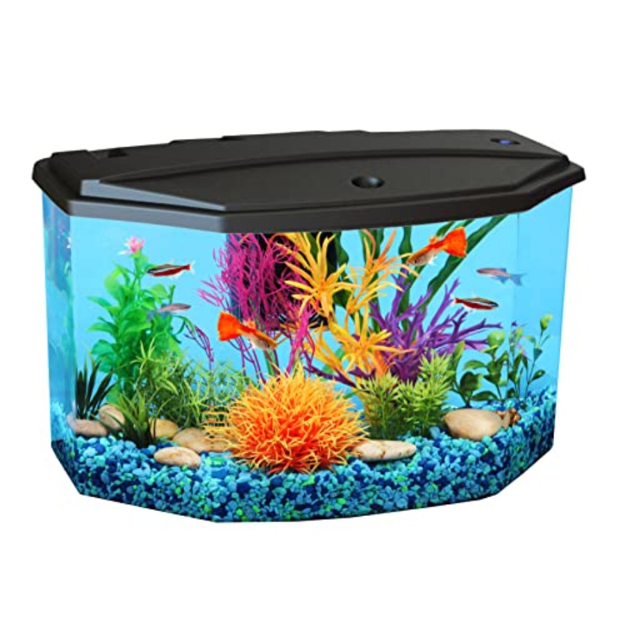 Plastic 3-Gallon Aquarium Star - Aquarium Fish Variety avis et prix