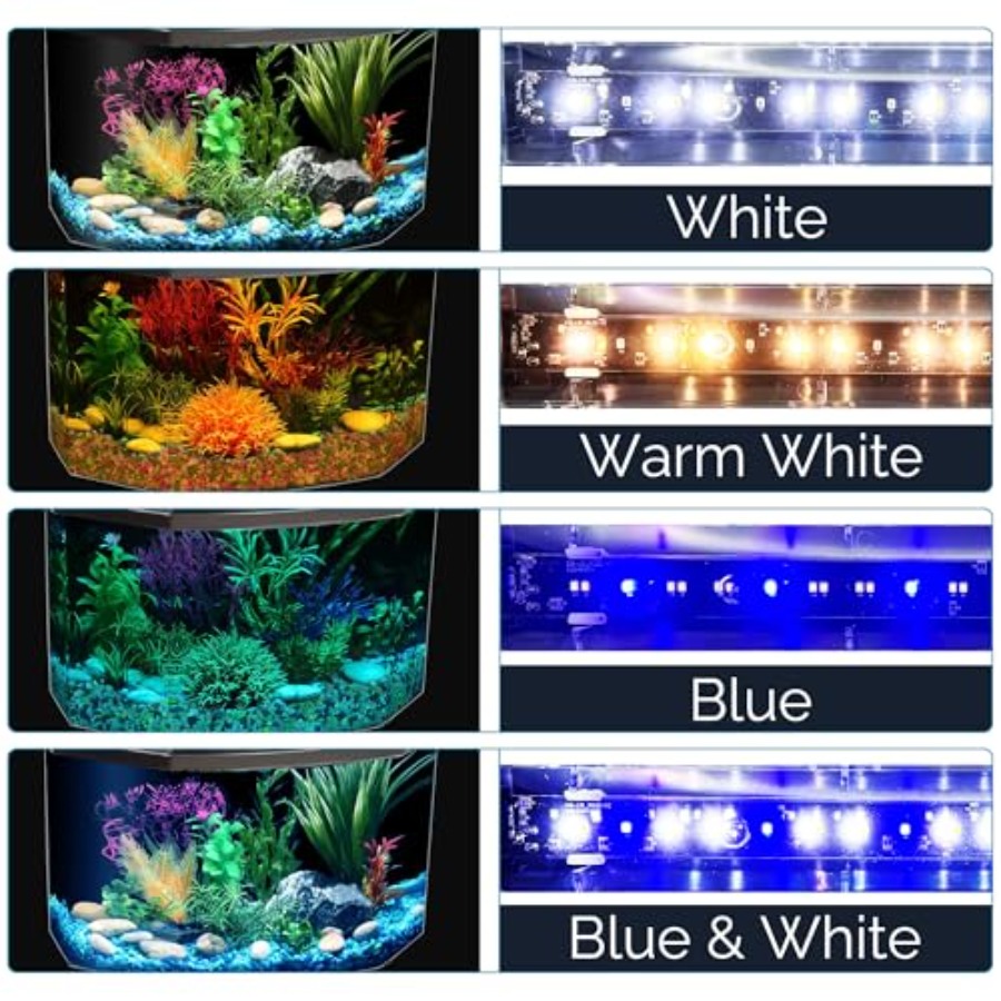 Plastic 3-Gallon Aquarium Star - Aquarium Fish Variety avis et prix