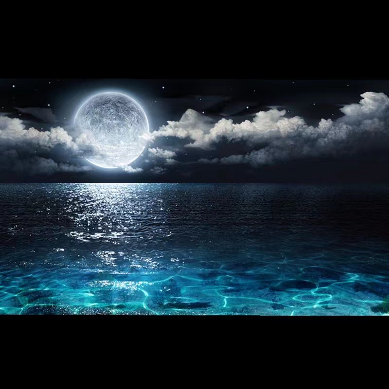 High Definition 3D Fish Tank B - Aquarium Fish Background avis et prix