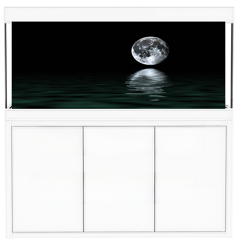 High Definition 3D Fish Tank B - Aquarium Fish Background avis et prix