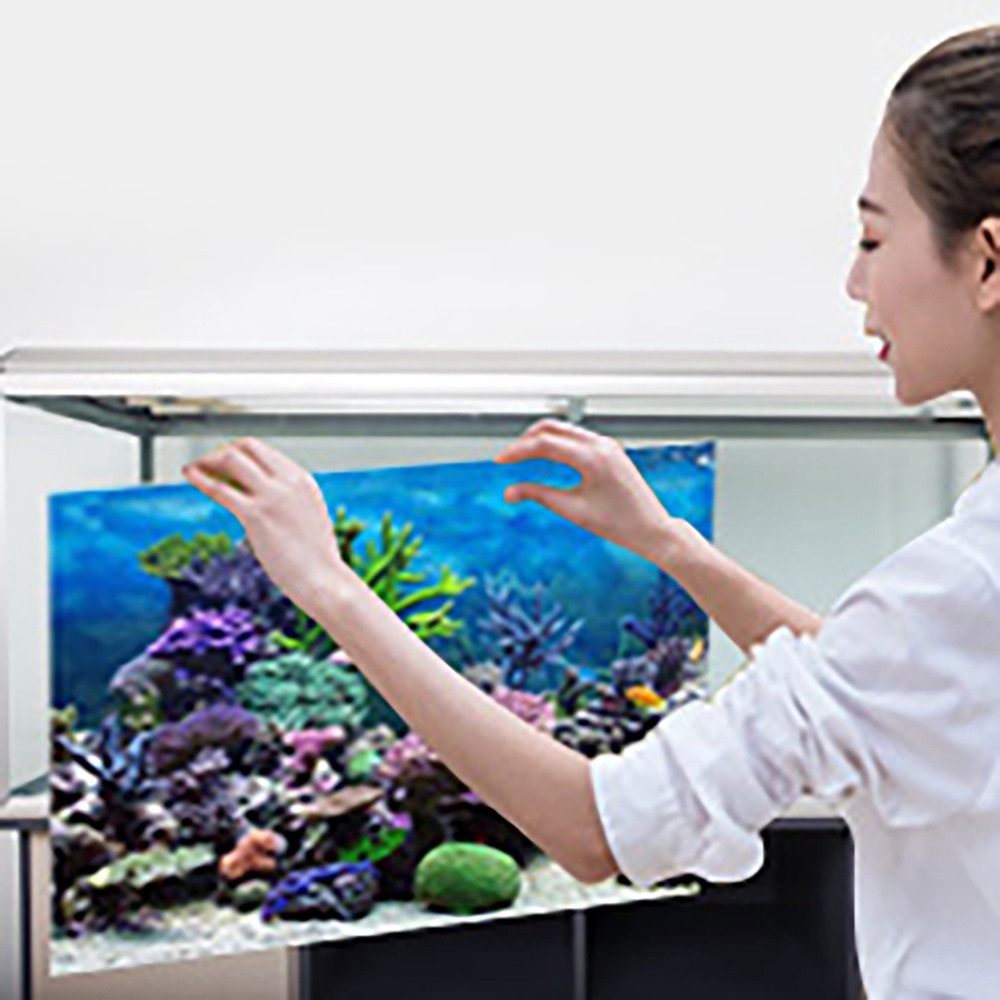 PVC Aquarium Background Poster - Aquarium Fish Poster avis et prix