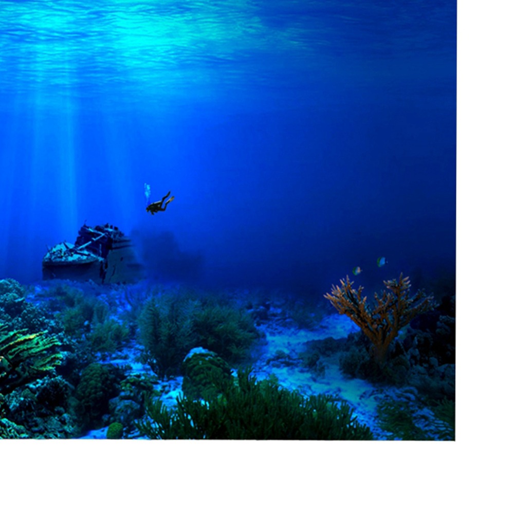 PVC Aquarium Background Poster - Aquarium Fish Poster avis et prix