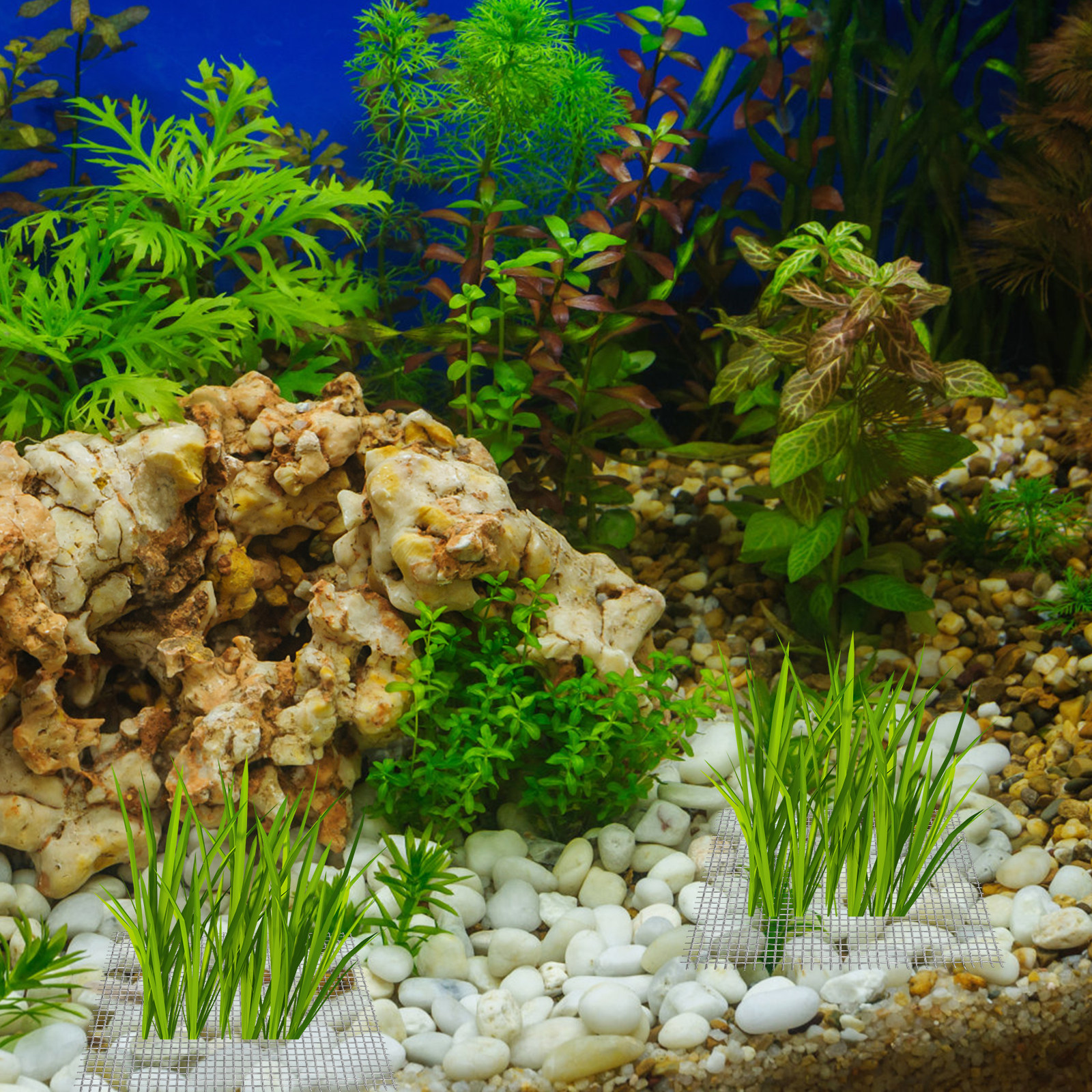 15Pcs Stainless Steel Moss Mes - Aquarium Fish Low Maintenance avis et prix