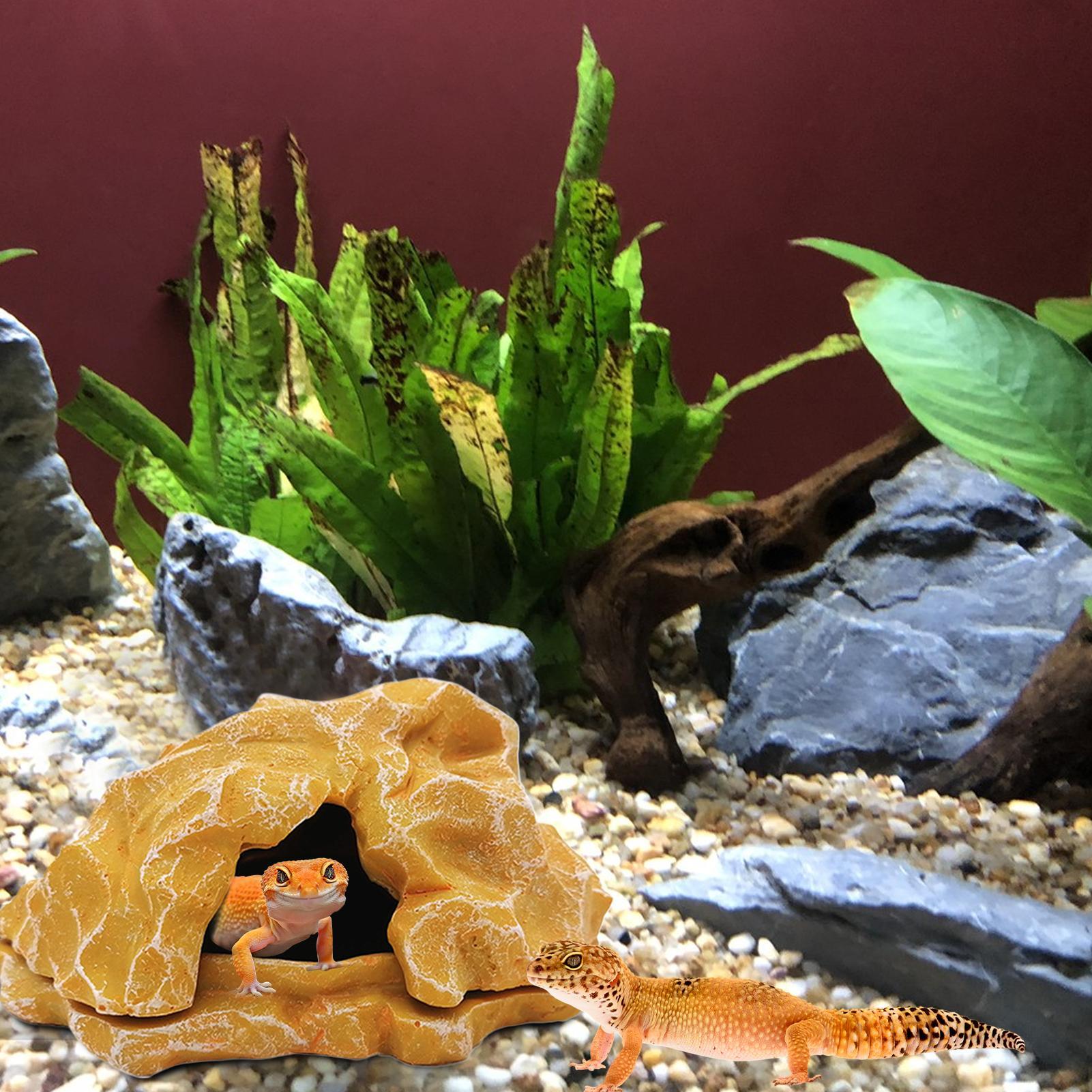 Lizard House Terrarium Resin F - Aquarium Fish Farm avis et prix