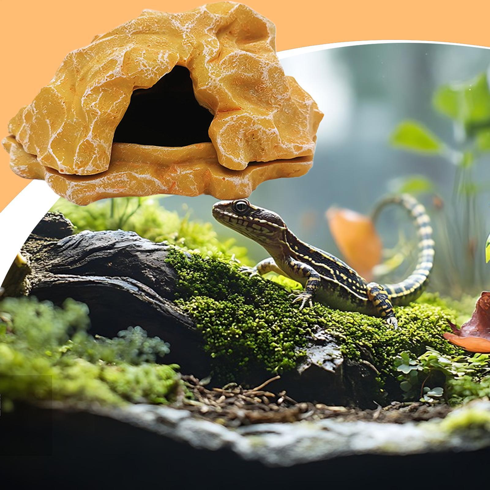 Lizard House Terrarium Resin F - Aquarium Fish Farm avis et prix