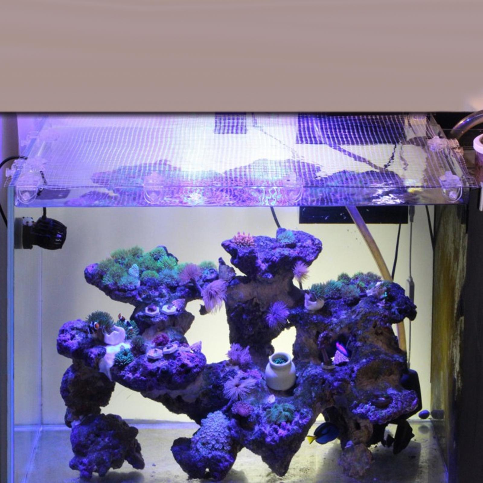 Transparent Mesh Fish Tank Scr - Tank Divider Mesh avis et prix