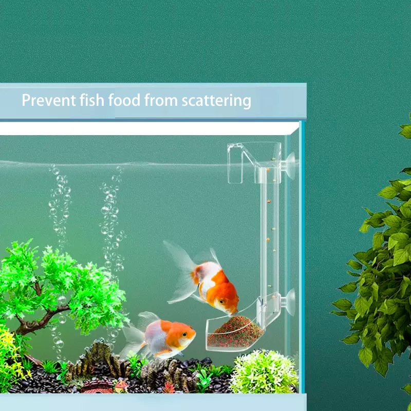 Aquarium Acrylic Feeding tube  - Aquarium Fish Variety avis et prix
