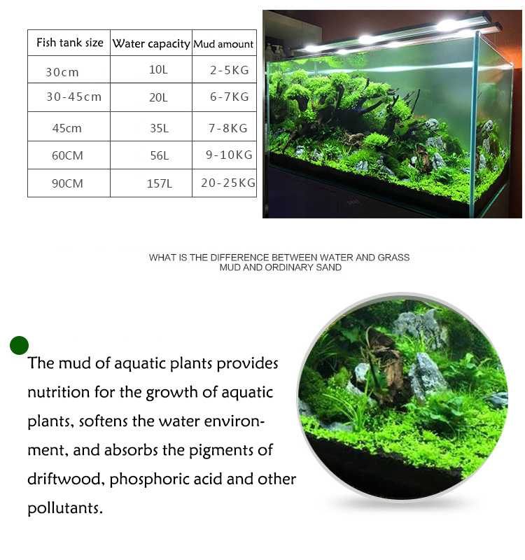 Aquarium Plant Seeds Soil Fish - Aquarium Fish Gallery avis et prix
