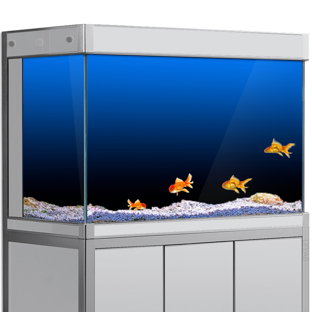 Fish Tank Background Sticker B - Aquarium Fish Background avis et prix