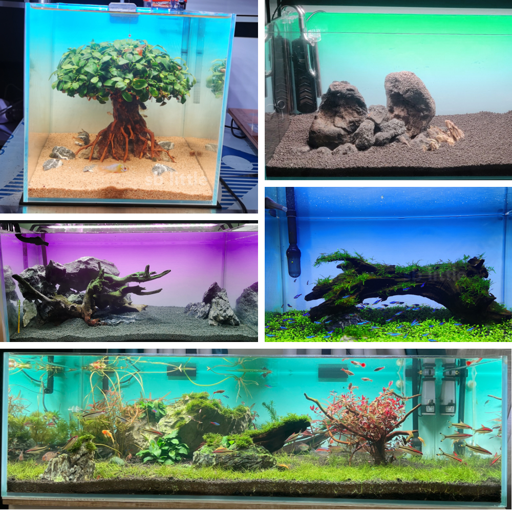 Fish Tank Background Sticker B - Aquarium Fish Background avis et prix