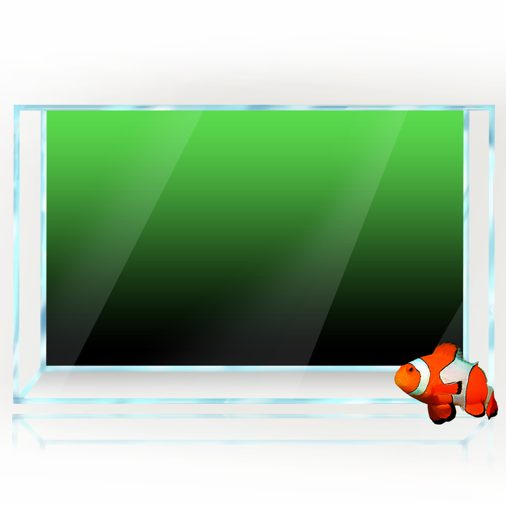 Fish Tank Background Sticker B - Aquarium Fish Background avis et prix