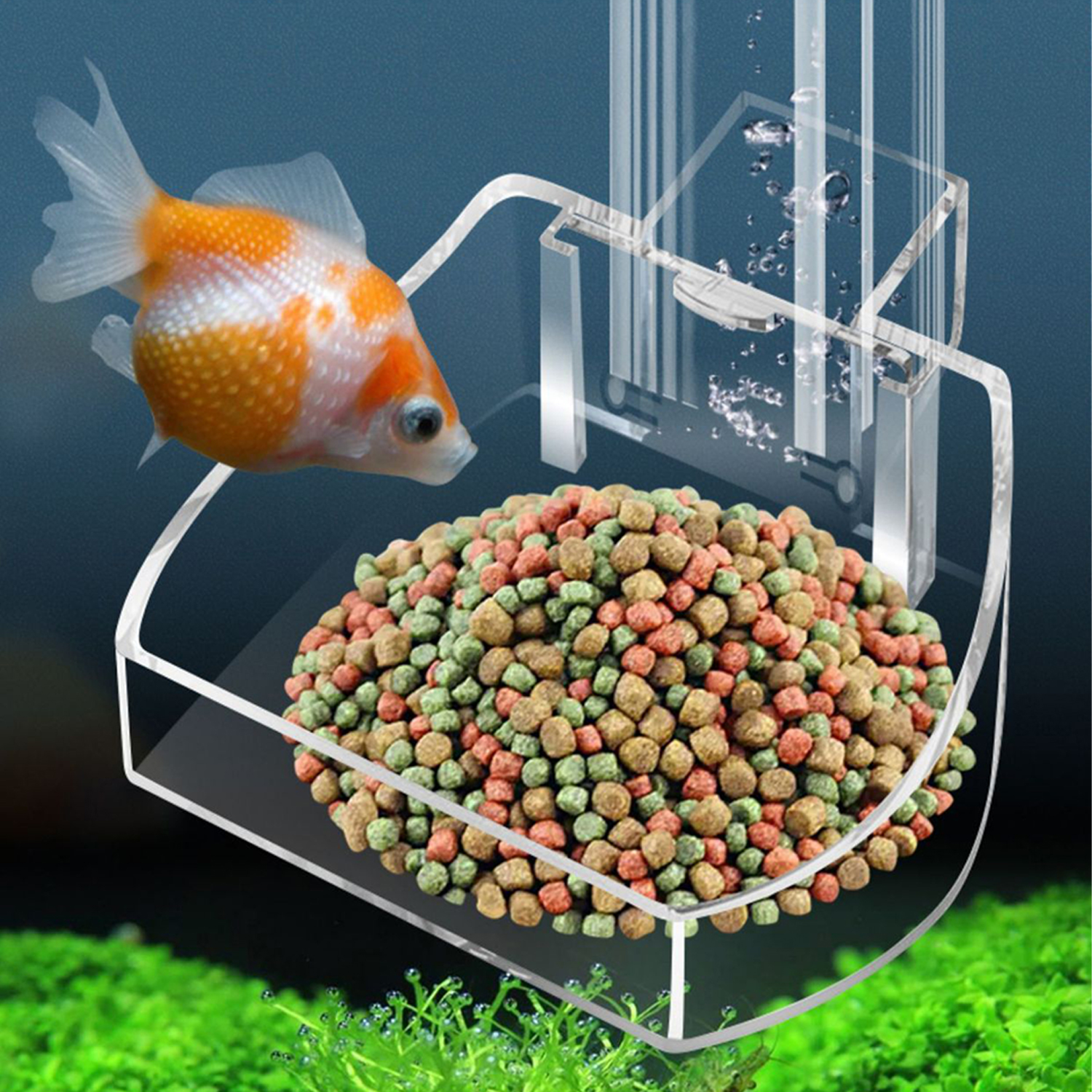 Aquarium Acrylic Feeding tube  - Aquarium Fish Variety avis et prix