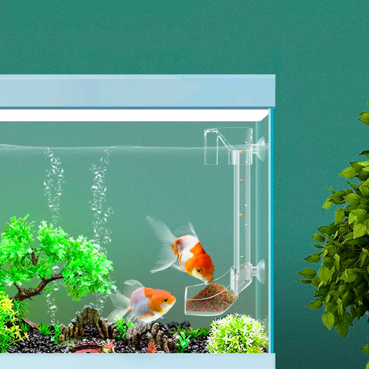 Aquarium Acrylic Feeding tube  - Aquarium Fish Variety avis et prix