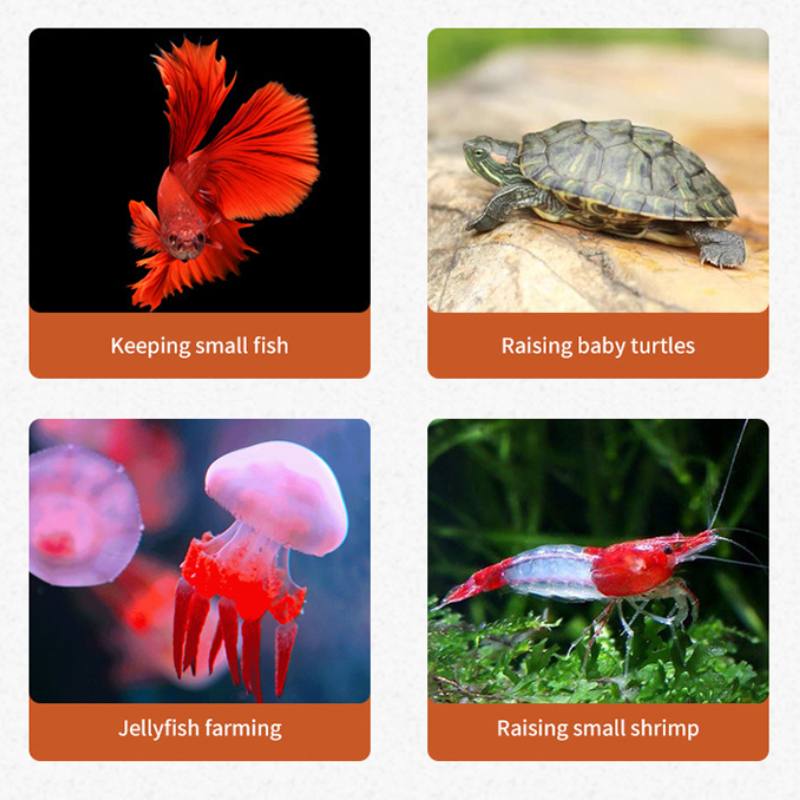 Aquarium Mini Fish Tank Reptil - Aquarium Fish Game avis et prix