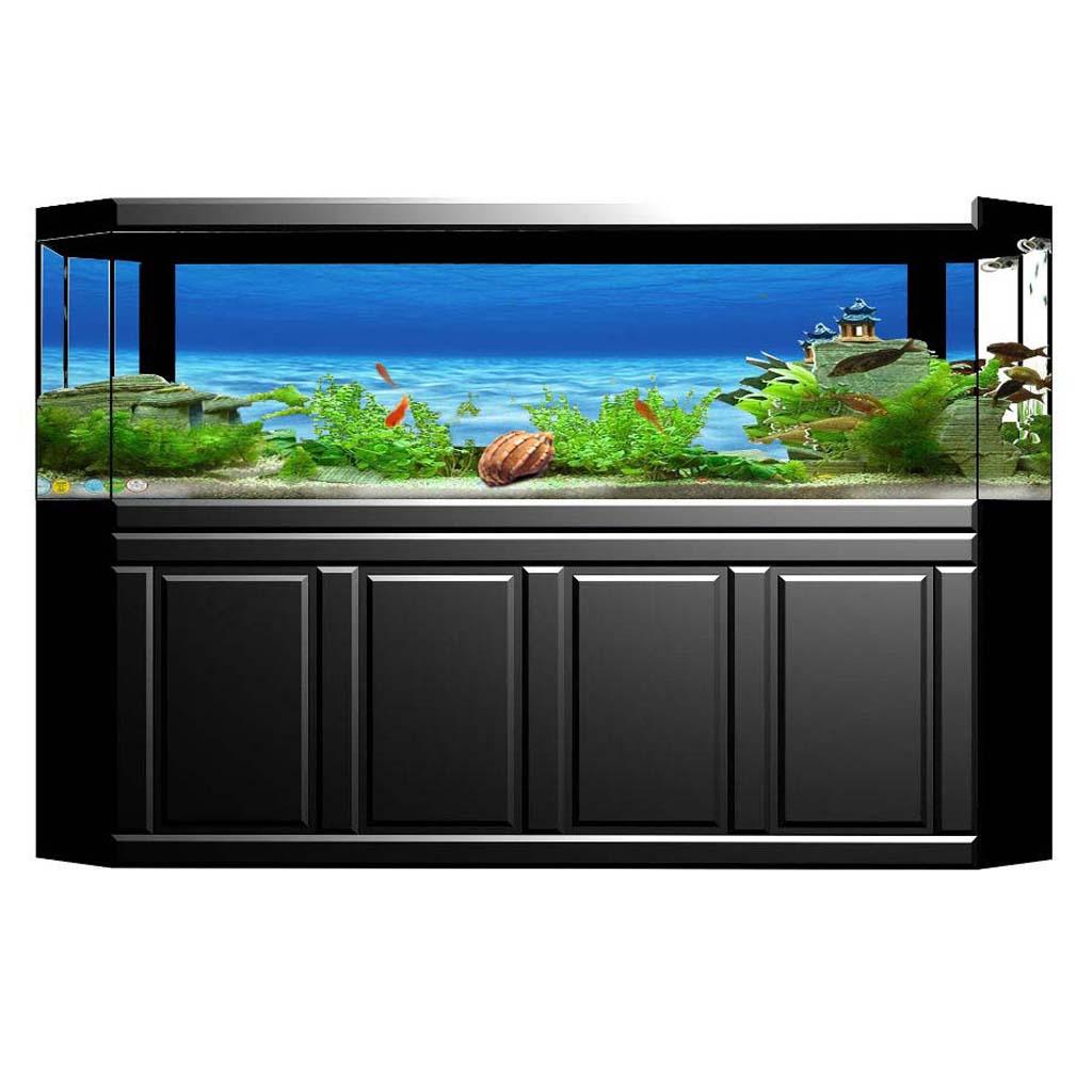 Side Decorative Aquarium Backg - Aquarium Fish Poster avis et prix