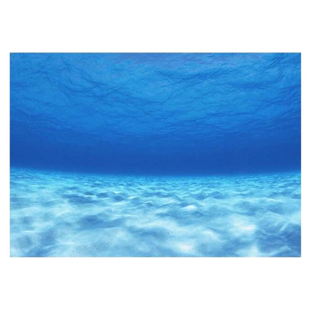 Side Decorative Aquarium Backg - Aquarium Fish Poster avis et prix
