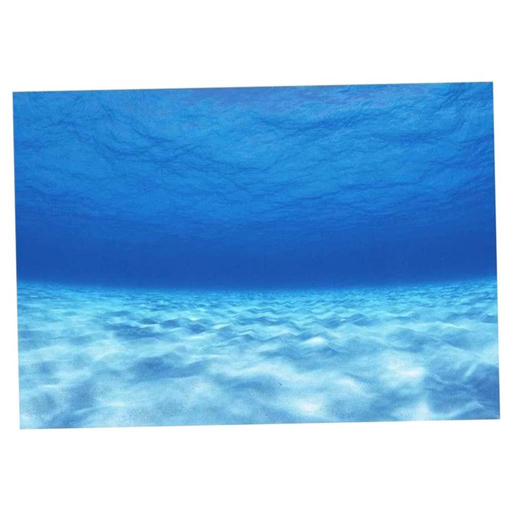 Side Decorative Aquarium Backg - Aquarium Fish Poster avis et prix
