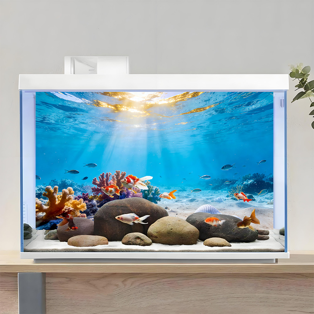 Underwater Worldl, fish tank b - Aquarium Fish Background avis et prix