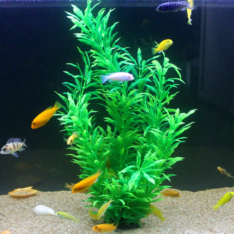 50CM Artificial Fish Tank Rare - Aquarium Fish Gallery avis et prix