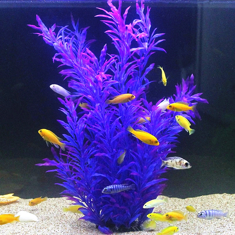 50CM Artificial Fish Tank Rare - Aquarium Fish Gallery avis et prix