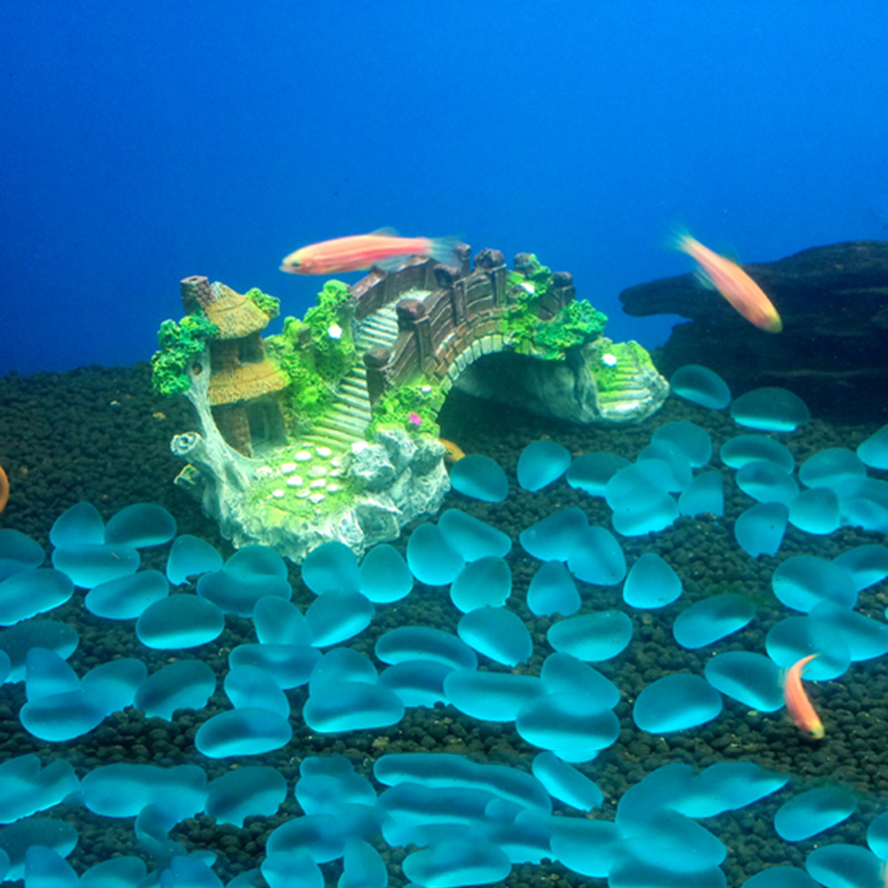 Aquarium Accessories Arbor Tre - Aquarium Fish Background avis et prix