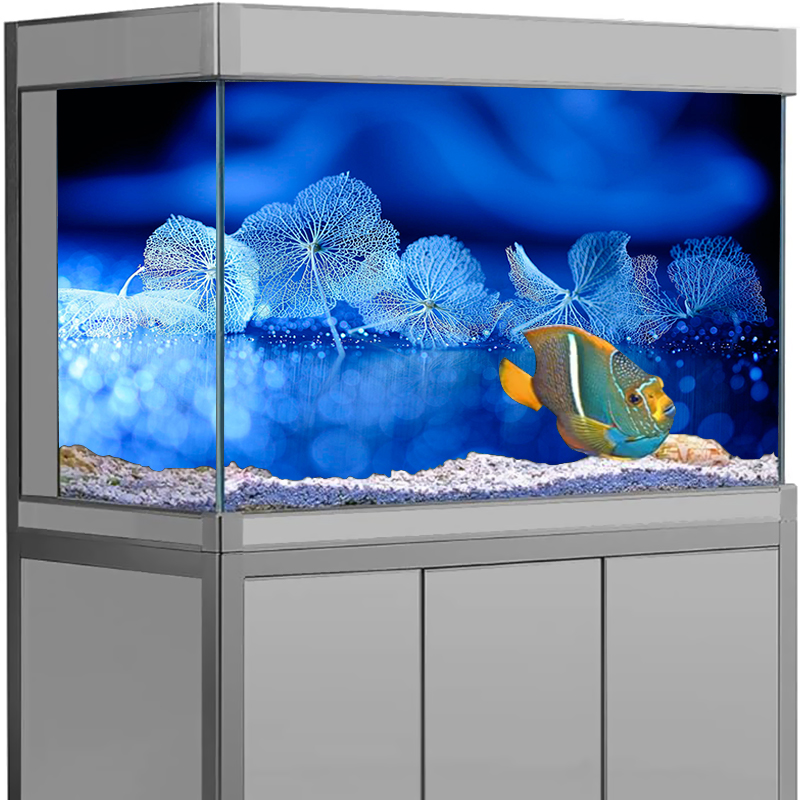 Fish Tank Decor Aquarium Backg - Aquarium Fish Poster avis et prix