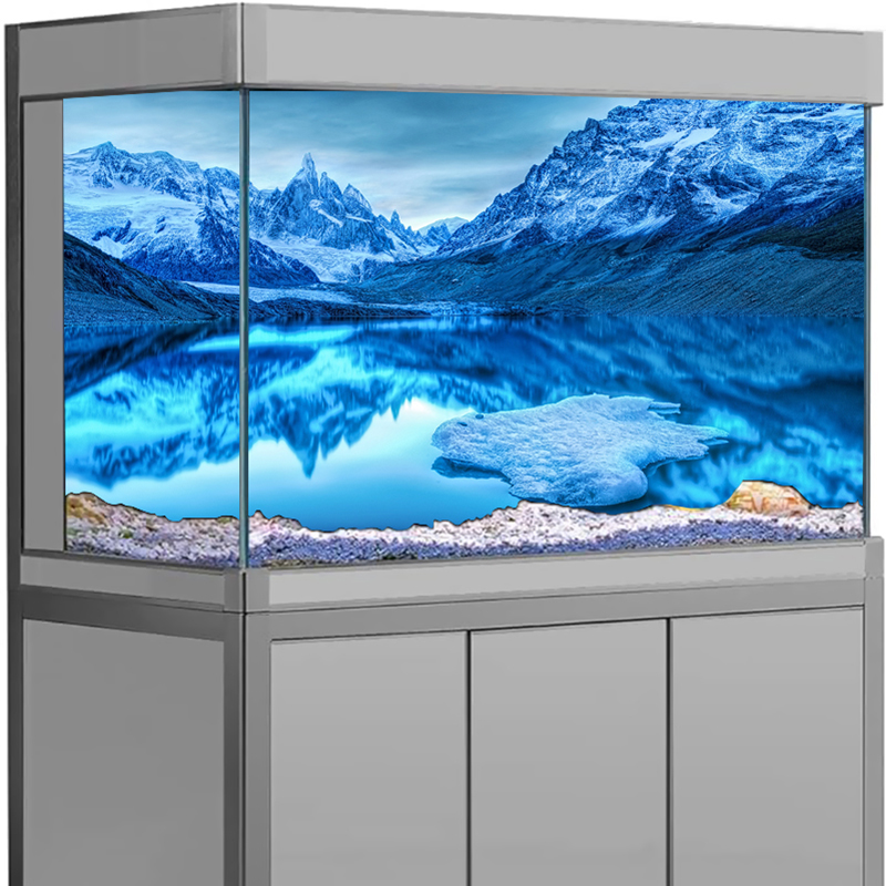 Fish Tank Decor Aquarium Backg - Aquarium Fish Poster avis et prix
