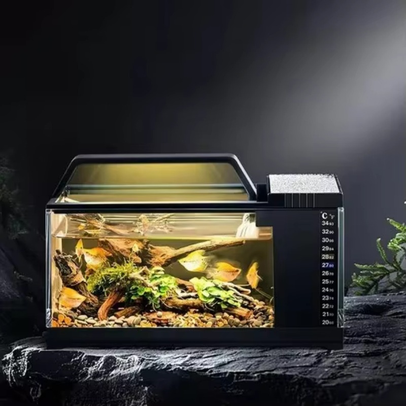South American Style Aquarium  - Aquarium Fish Low Maintenance avis et prix
