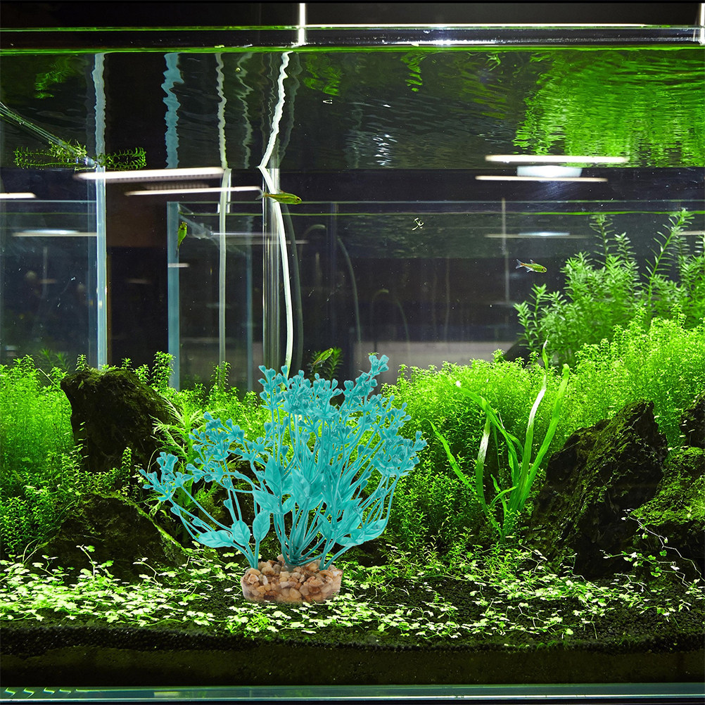 2Pcs Realistic Plastic Aquariu - Aquarium Fish Low Maintenance avis et prix