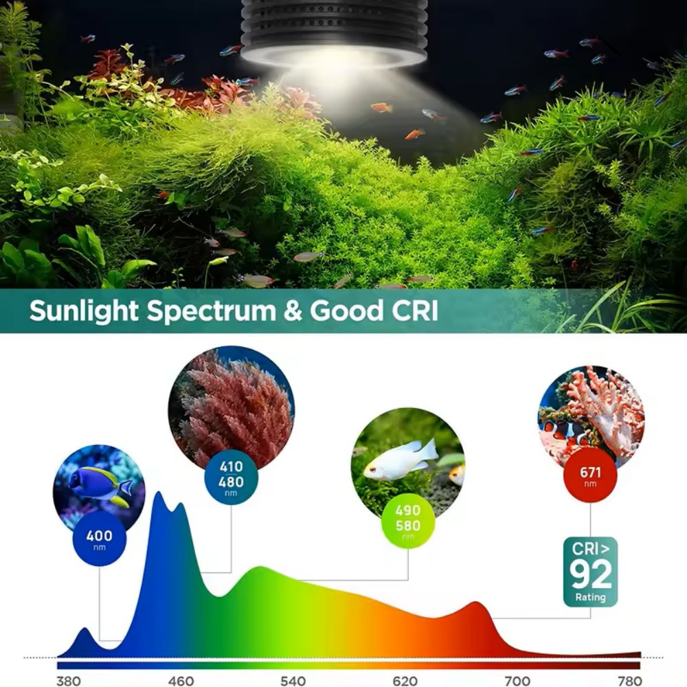 Lominie Asta 20 Freshwater 18W - Refugium Light Nano avis et prix